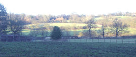 The green fields of Cambridgeshire, home to the Secret Garden Party